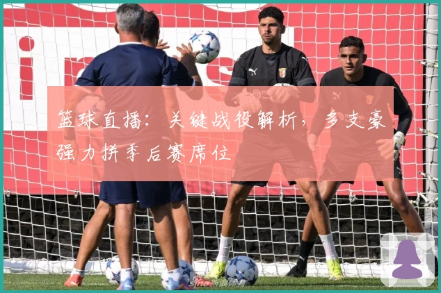 篮球直播:关键战役解析,多支豪强力拼季后赛席位